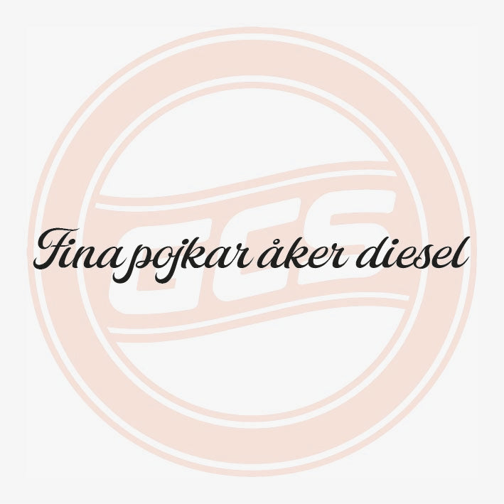 1009 - Fina pojkar åker diesel
