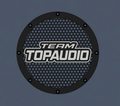 V2 - TOPAUDIO GALLER 4-12"