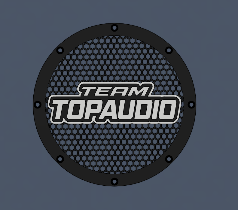 V2 - TOPAUDIO GALLER 4-12"