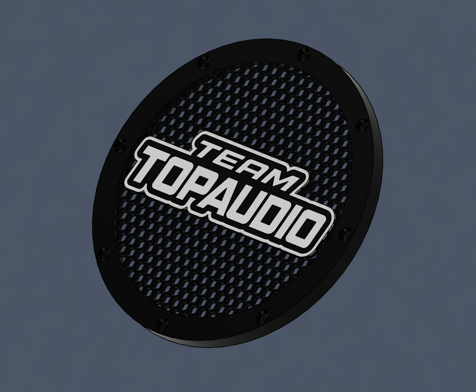 V2 - TOPAUDIO GALLER 4-12"